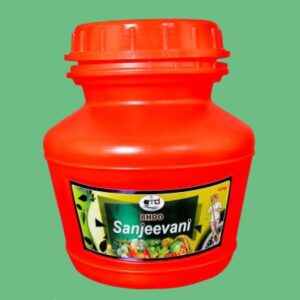 Boo Sanjeevani