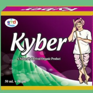 Kyber