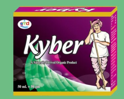 Kyber